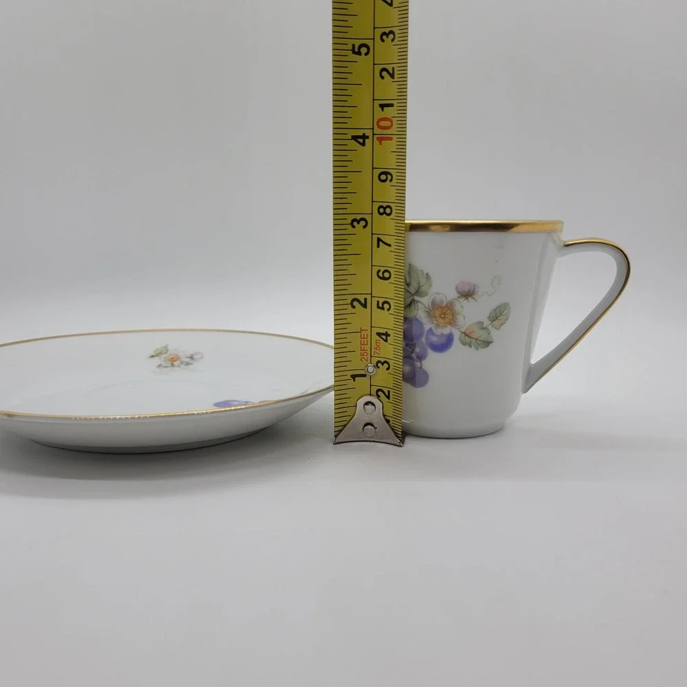 Hutschenreuther‎ Noblesse Tea Cup Saucer Set Germany Grapes Gold Trim Porcelain